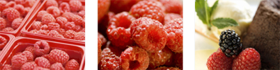 raspberries