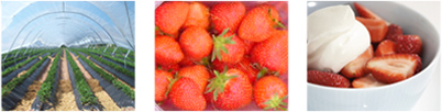 strawberries